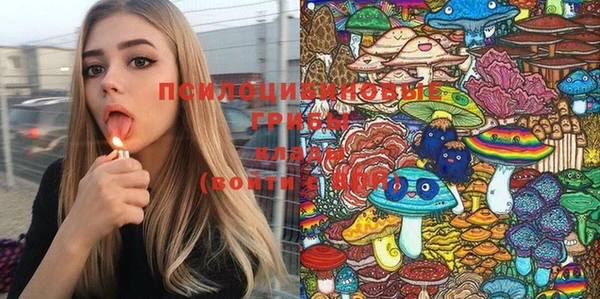 прущий лед Горняк
