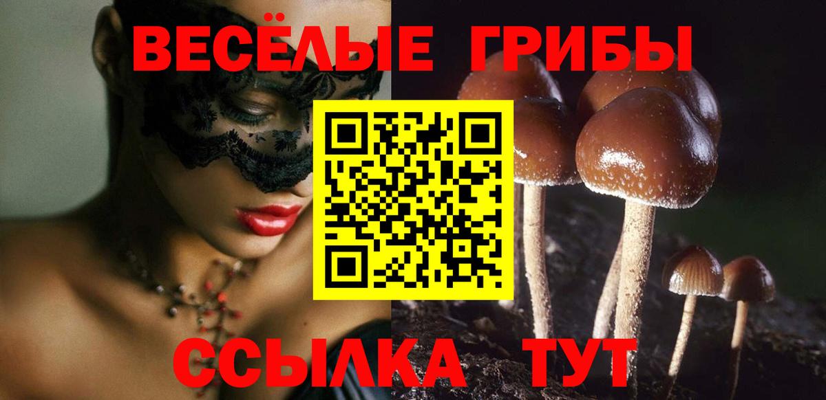 Можайск  Галлюциногенные грибы ЛСД  Вход с VPN 
