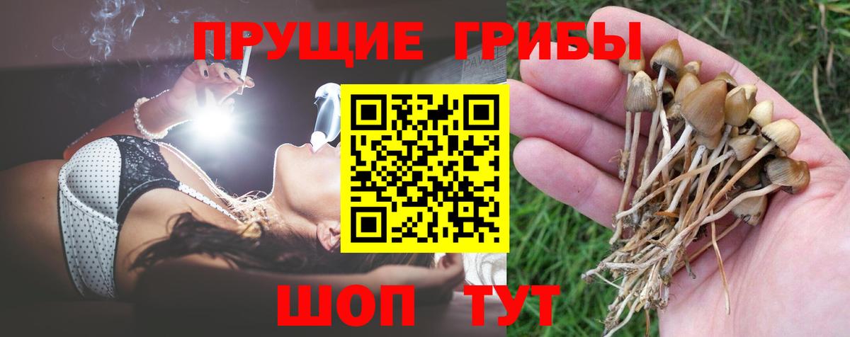 Галлюциногенные грибы GOLDEN TEACHER  купить закладку  Можайск 